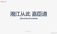 2022宸嘉·嘉臣道策略提案#大平层#【pdf】