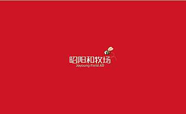 江山玥项目整合传播推广策略方案【pdf】