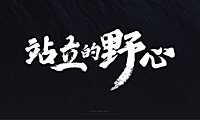 重庆巴别塔大平层整合推广策略方案【pdf】