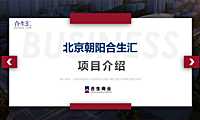 北京朝阳合生汇项目介绍【pdf】