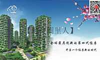 第四代建筑项目开发【pdf】