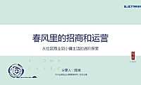 杭州蓝城·桃李春风小镇商业招商与运营案例分享-85P【pdf】