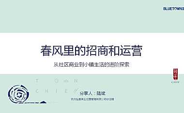 杭州蓝城·桃李春风小镇商业招商与运营案例分享-85P【pdf】