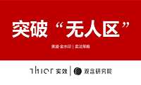 金水印卖法策略方案【pdf】