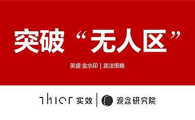 金水印卖法策略方案【pdf】