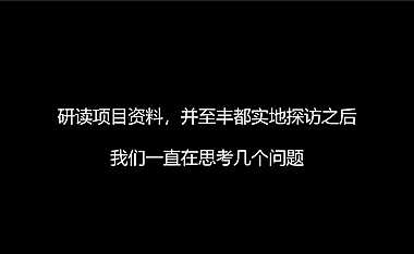 仁安丰都项目推广思考-280P【pdf】
