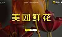 美团鲜花平台母亲节TVC脚本【pdf】