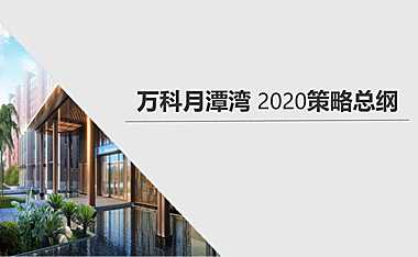 万科月潭湾策略总纲-35P【pdf】