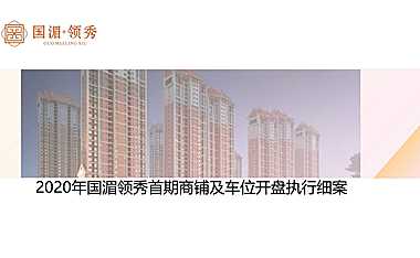 2020房地产商铺及车位开盘执行细案-24P【pdf】