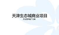 2022爱情海购物中心筹备期项目开业预热方案【pdf】