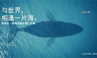 心生万物-2022广东-雅居乐·明珠湾整合推广方案-253Ps【pdf】