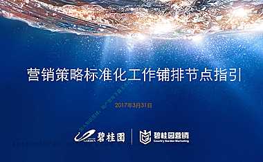 标准化营销策略重点工作铺排节点指引【pdf】