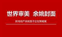 未来观项目整合推广策略提案方案【pdf】