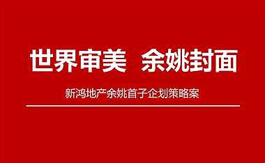 未来观项目整合推广策略提案方案【pdf】