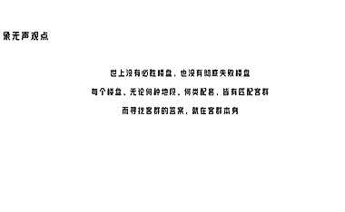绿城项目客户分析及销售力物料方案【pdf】