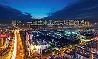 锦禾府项目推广策略提案方案【pdf】
