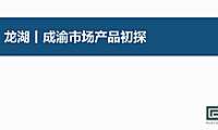 龙湖新中式体验性示范区打造方案【pdf】