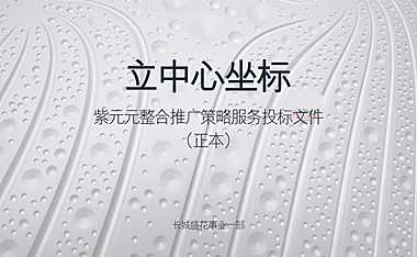 深圳紫元元整合策略推广策略案215p【pdf】
