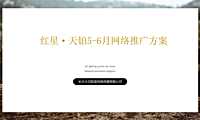 2021红星·天铂网络推广方案【pdf】