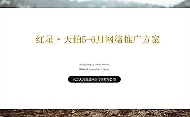 2021红星·天铂网络推广方案【pdf】