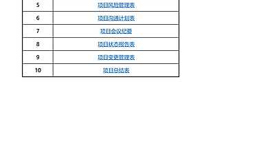 华为项目管理10大模板excel版(可直接套用).pdf