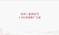 2021苏荷象湾壹号项目1-2月推广方案【pdf】