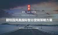 中原深圳碧桂园凤凰国际智谷营销拓盘报告【pdf】