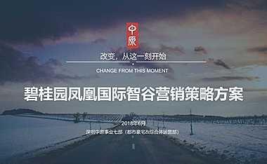 中原深圳碧桂园凤凰国际智谷营销拓盘报告【pdf】
