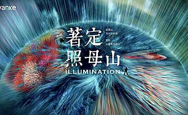 万科星光森林项目推介案【pdf】