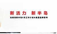 龙栖湾新半岛6月工作计划方案【pdf】