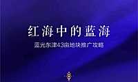 襄阳蓝光43亩地块推广攻略方案【pdf】