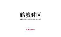 2022中央公园项目提报方案【pdf】
