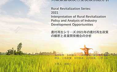 头豹研究院-乡村振兴系列：2021年乡村振兴政策解读及行业发展机遇分析-2021.09-33页