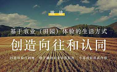 深圳道里-融创演丰田园推广提报#文旅##农业#【pdf】