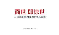 2021云顶海岸推广执行策略方案