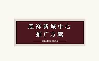 深圳道里-海南海口恩祥新城中心商住项目推广方案【pdf】