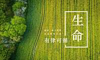 融创演丰田园推广方案-文旅农业【pdf】