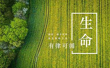 融创演丰田园推广方案-文旅农业【pdf】