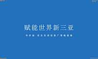 2022蓝色光标今久广告-海南华侨城欢乐东岸2022年度全案209页【pdf】