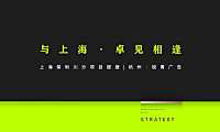 2021保利上海川沙项目推广方案【pdf】