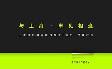 2021保利上海川沙项目推广方案【pdf】