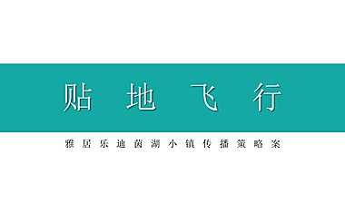水调歌头田园小镇传播方案【pdf】