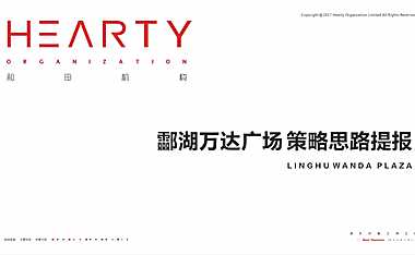 2021酃湖万达整合策略方案155p【pdf】