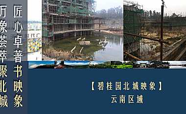 碧桂园大奖 看5年烂尾楼如何分割化营销逆势突围77p【pdf】