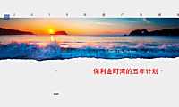 汕尾保利·金町湾5年计划推广提案【pdf】