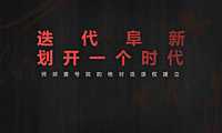 2021-2022顶级豪宅院迭代提案方案【pdf】