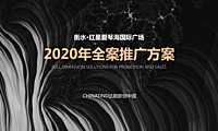 2020衡水爱琴海国际广场年度推广方案-首次汇报版.pdf