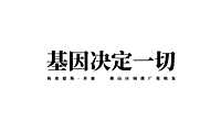 2022金燕达观-梅赛德斯奔驰2022品牌推广140页【pdf】