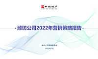 2022中海世家年度营销策略报告【pptx】