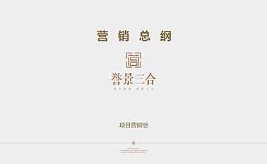 银城·誉景三合住宅营销总纲【pdf】